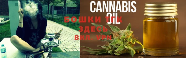 ешки Арсеньев