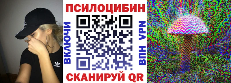 купить наркотик  Салаир  Псилоцибиновые грибы мухоморы 