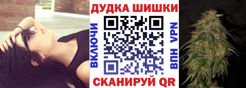Конопля план  Салаир 